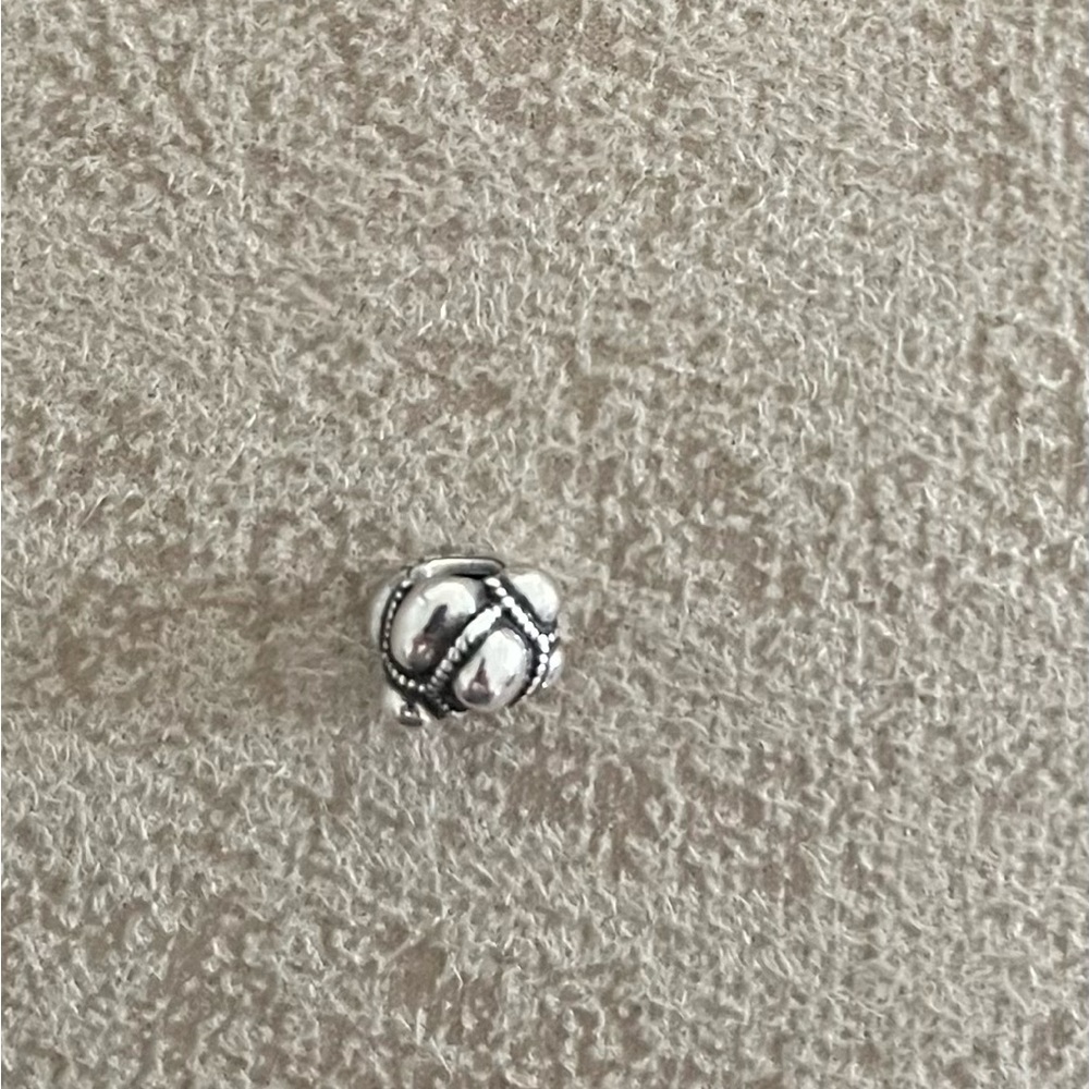 NWOT Pandora Charm